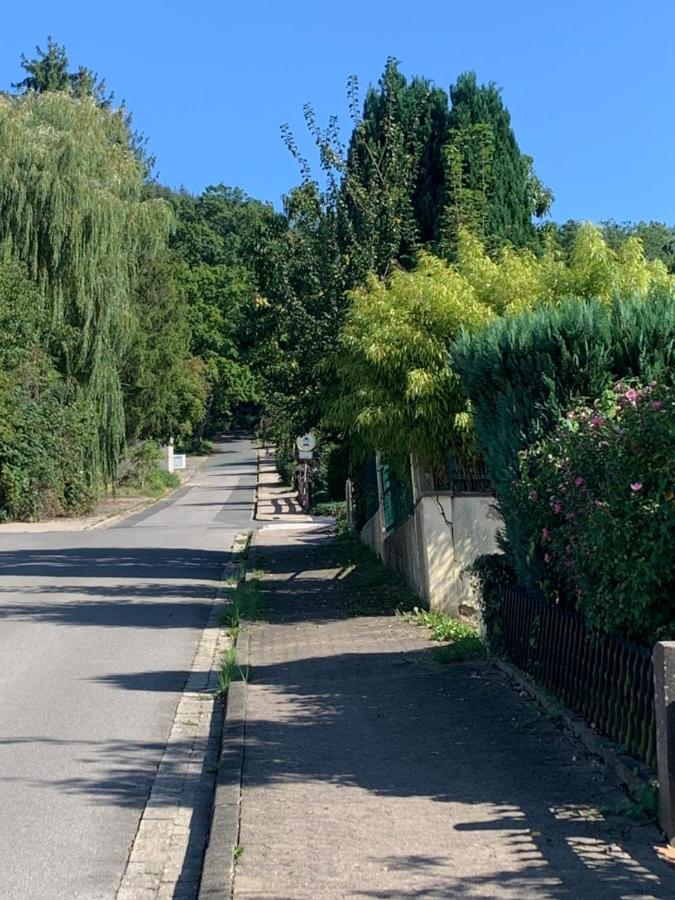 Haus Erdmaennchen Lägenhet Bodenwerder Exteriör bild